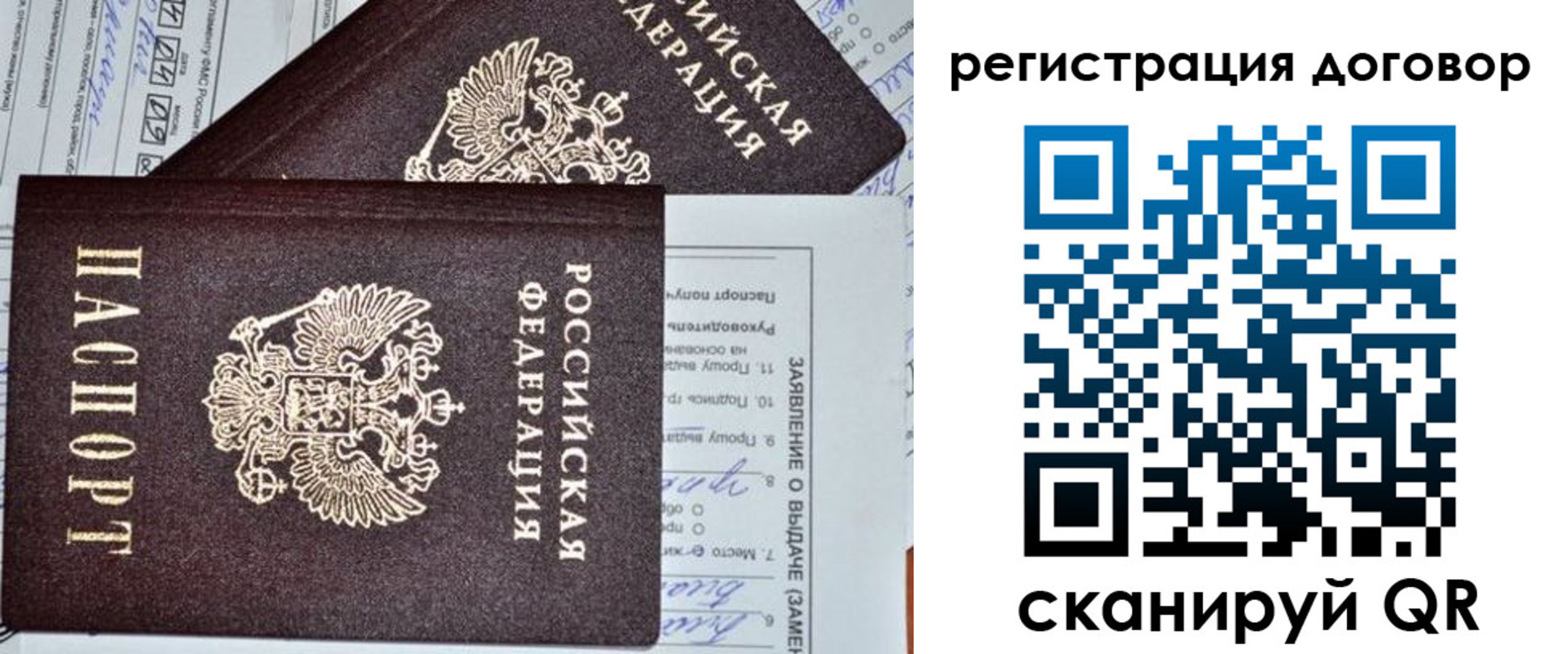 прописка штамп в Пионерском